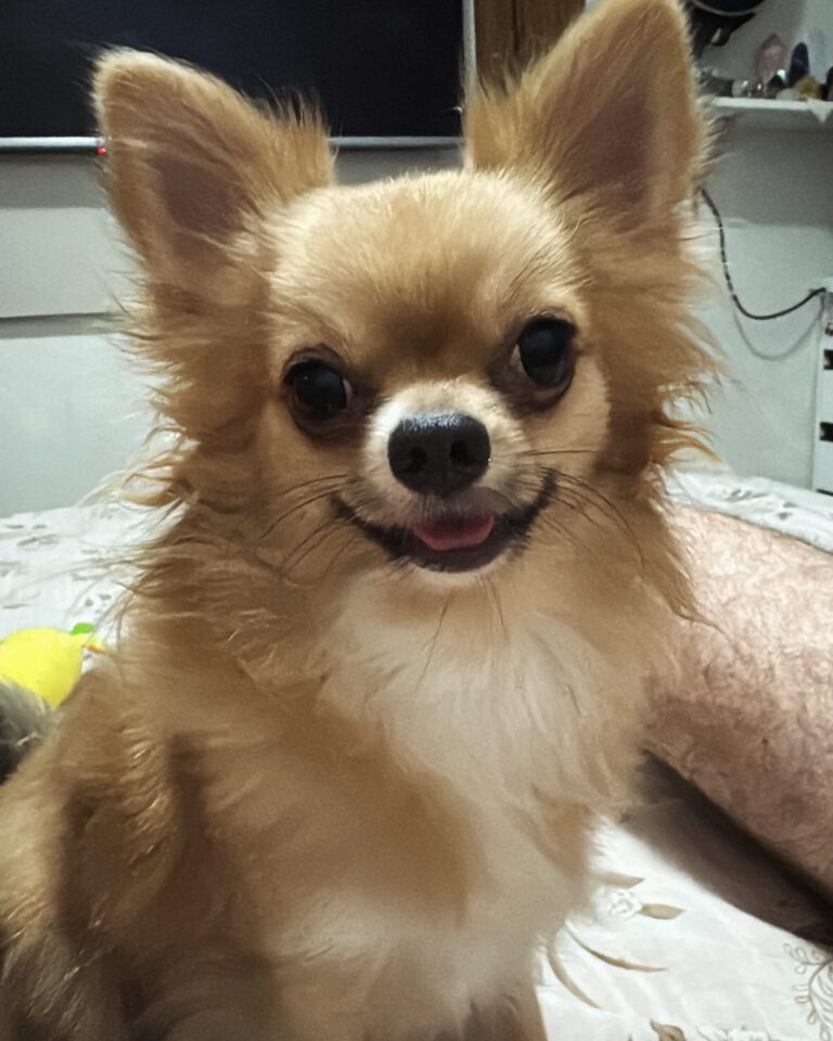 Instagram post from eumanu_rocha. This post is in position 3.