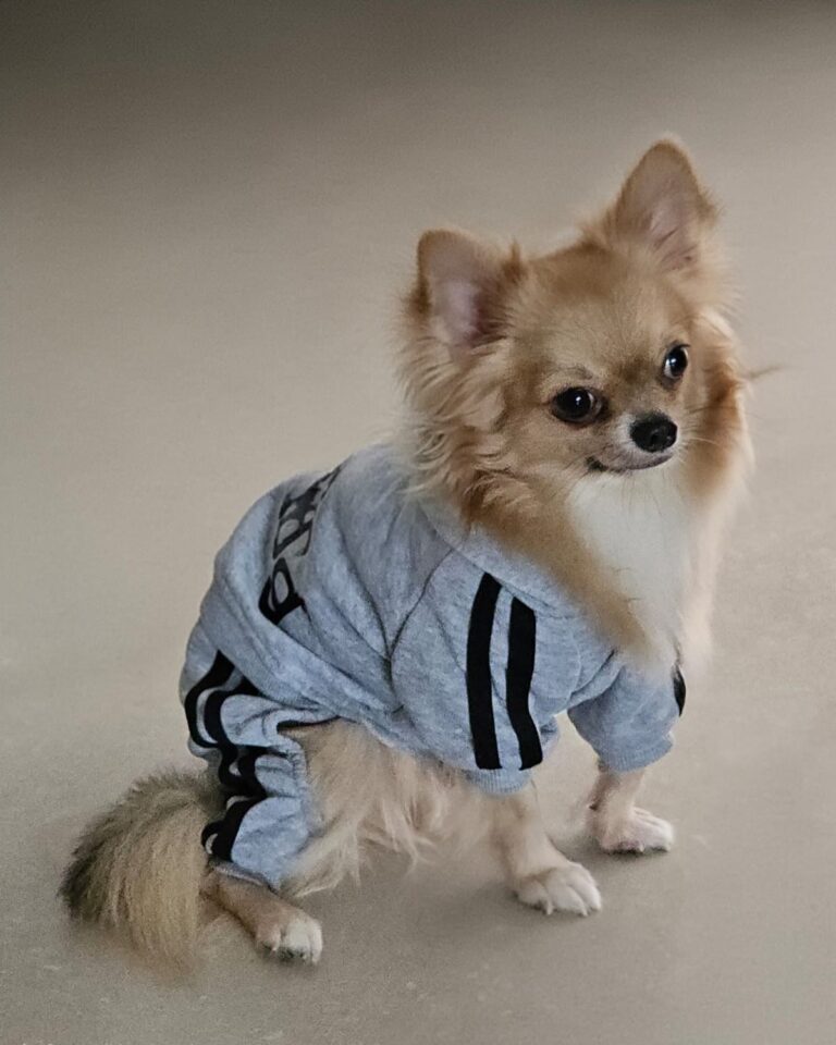 Instagram post from eumanu_rocha. This post is in position 1.